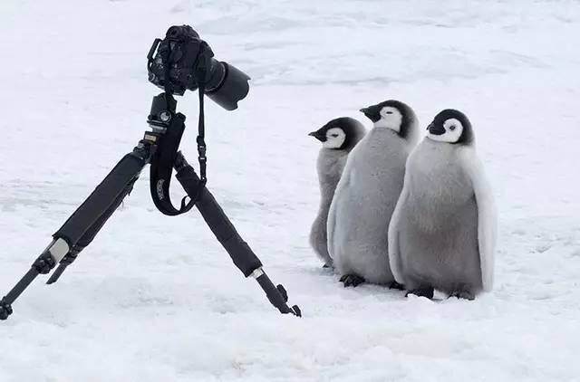 759894359.jpg 142113EZE.jpg