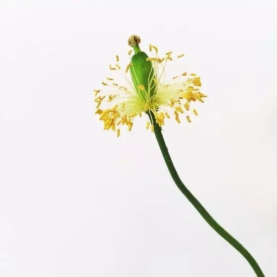 10個簡單技巧就能拍出高逼格 10個簡單技巧就能拍出高逼格