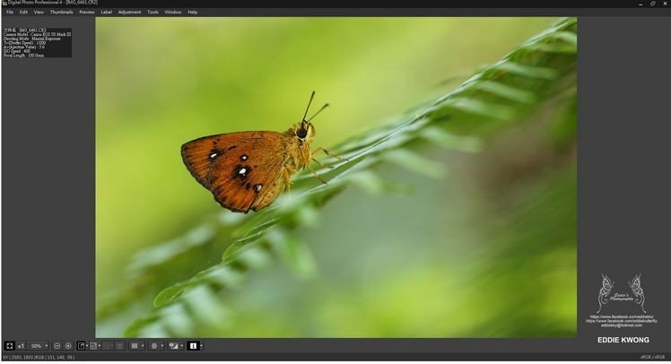 微距攝影入門知識和技巧 微距攝影入門知識和技巧