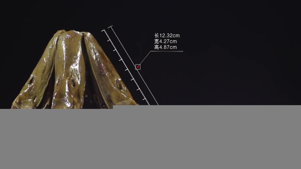 味瑟鴨頭靈魂廣告宣傳片
