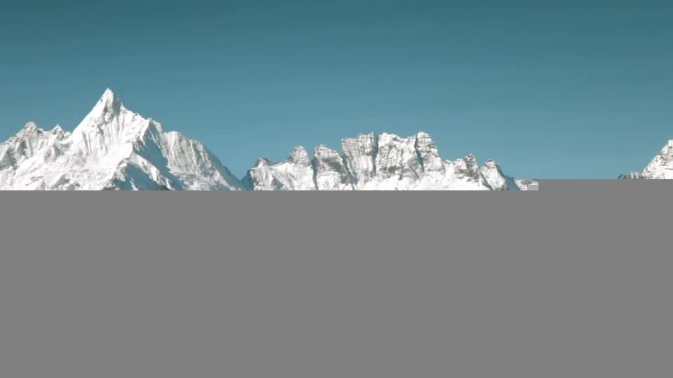 OPPO手機品牌宣傳片- 貓力篇