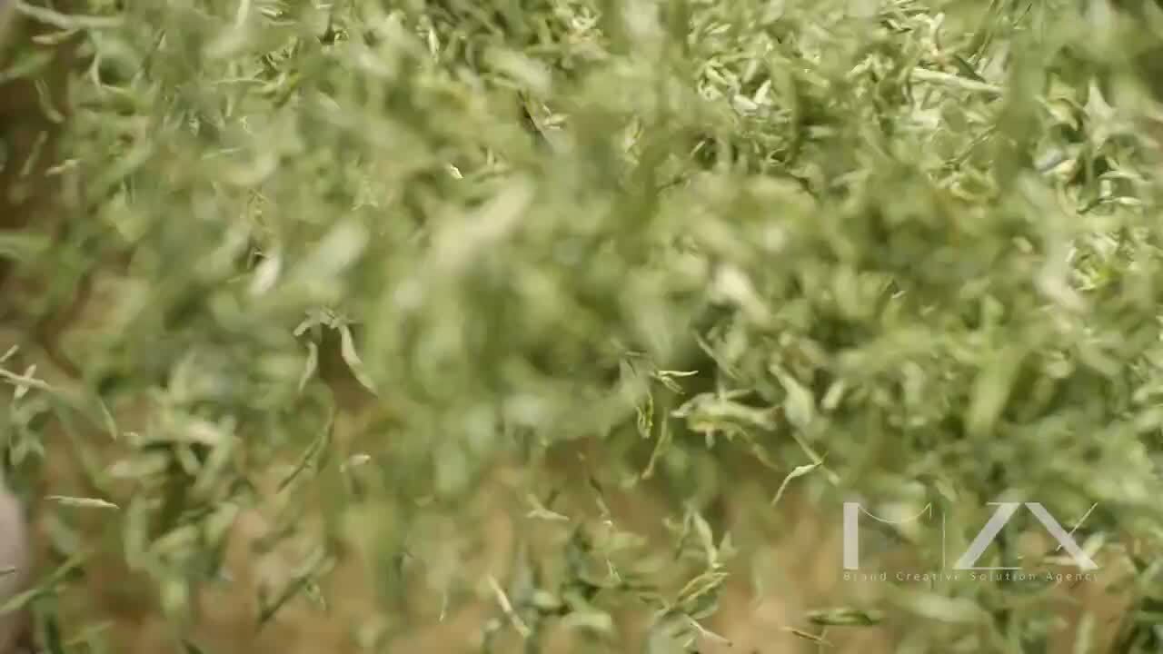 網易嚴選TVC《好的生活,沒那么貴》